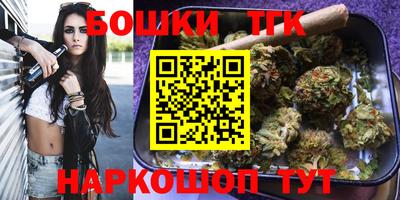 гашик Будённовск