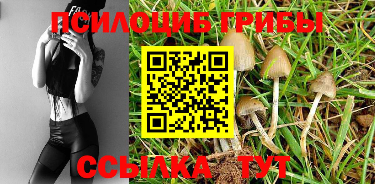 Ялуторовск  продажа наркотиков  Галлюциногенные грибы мицелий  Вход с VPN  Галлюциногенные грибы мухоморы 