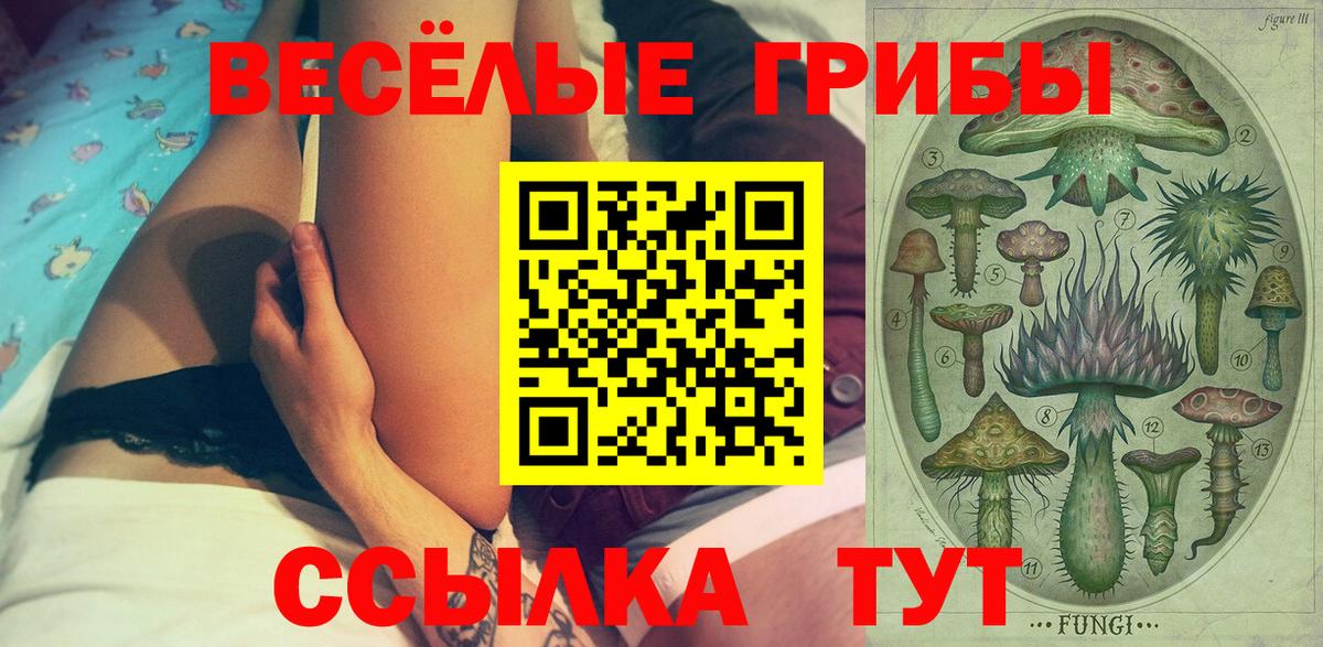 Галлюциногенные грибы MAGIC MUSHROOMS Ялуторовск